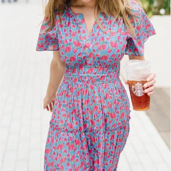 NWT Briton Court SIZE medium Willow Maxi Dress | Strawberries - Picture 1 of 7